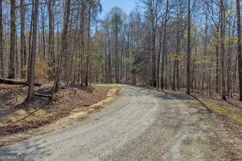300 Rolling Rock Rd, Carnesville, GA 30521 photo 13