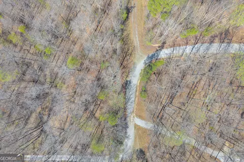 300 Rolling Rock Rd, Carnesville, GA 30521 photo 9