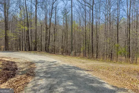 300 Rolling Rock Rd, Carnesville, GA 30521 photo 16