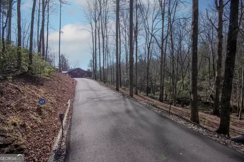 Other - 1220 Burger Rd, Murphy, NC 28906 photo 9 of 21