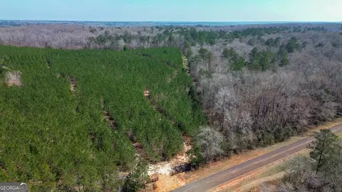 0 Dozier Rd, Ellaville, GA 31806
