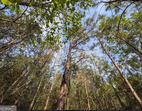 0 Pollett Rd #LOT 23, Bartow, GA 30413 photo 27