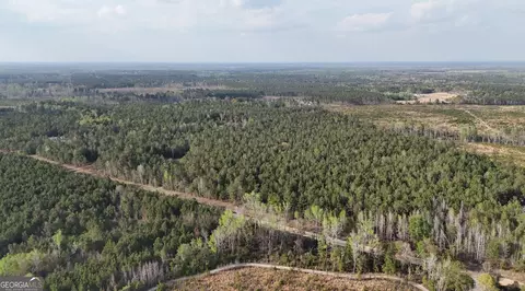 0 Pollett Rd #LOT 23, Bartow, GA 30413 photo 8
