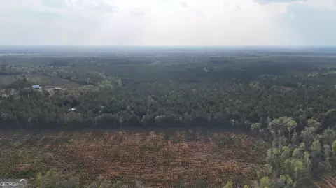 0 Pollett Rd #LOT 23, Bartow, GA 30413 photo 14