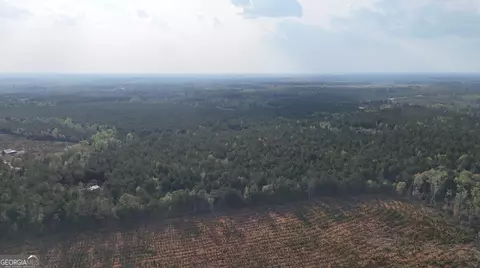 0 Pollett Rd #LOT 23, Bartow, GA 30413 photo 13