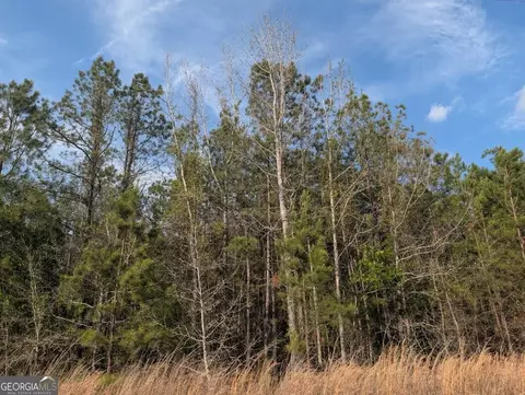 0 Pollett Rd #LOT 23, Bartow, GA 30413 photo 26