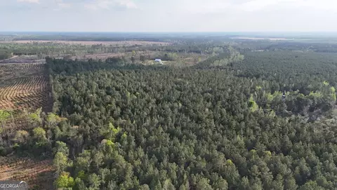 0 Pollett Rd #LOT 23, Bartow, GA 30413 photo 17
