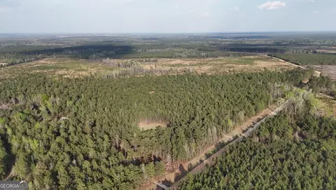 0 Pollett Rd #LOT 23, Bartow, GA 30413 photo 22