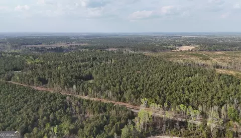 0 Pollett Rd #LOT 23, Bartow, GA 30413 photo 7