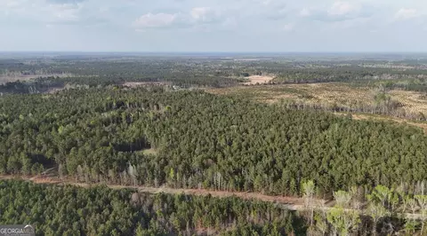 0 Pollett Rd #LOT 23, Bartow, GA 30413 photo 6