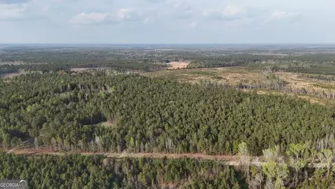 0 Pollett Rd #LOT 23, Bartow, GA 30413 photo 5
