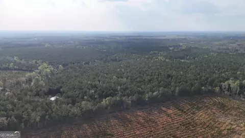 0 Pollett Rd #LOT 23, Bartow, GA 30413 photo 12