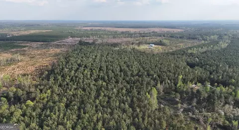0 Pollett Rd #LOT 23, Bartow, GA 30413 photo 19