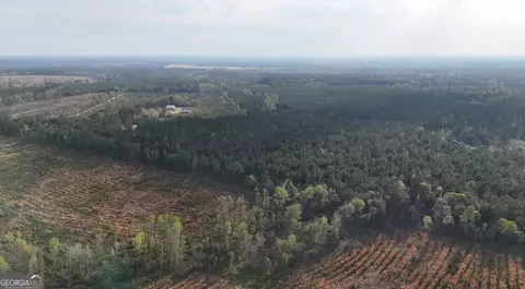 0 Pollett Rd #LOT 23, Bartow, GA 30413 photo 15
