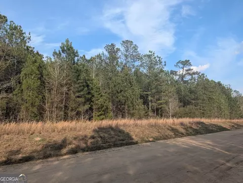 0 Pollett Rd #LOT 23, Bartow, GA 30413 photo 29