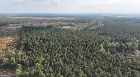0 Pollett Rd #LOT 23, Bartow, GA 30413 photo 18