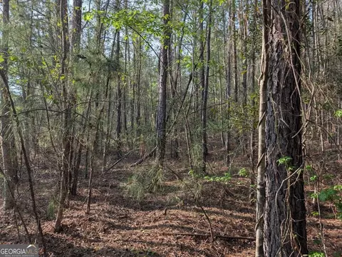 0 Pollett Rd #LOT 23, Bartow, GA 30413 photo 28