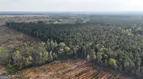 0 Pollett Rd #LOT 23, Bartow, GA 30413 photo 16