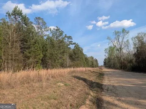 0 Pollett Rd #LOT 23, Bartow, GA 30413 photo 25