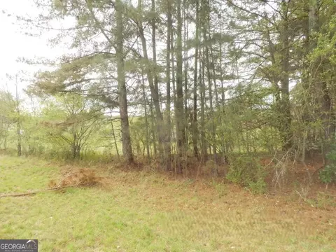 1 Ac Smith Loop, Demorest, GA 30535 photo 6