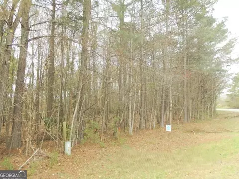 1 Ac Smith Loop, Demorest, GA 30535 photo 4