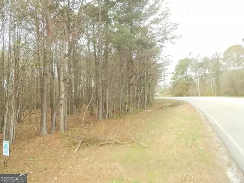 1 Ac Smith Loop, Demorest, GA 30535 photo 5
