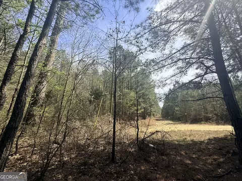 15 Hollis Norman Rd, Tignall, GA 30668