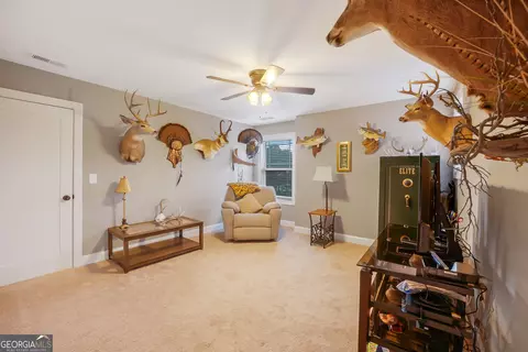 Other - 933 Ashley Glen Dr, Williamson, GA 30292 photo 10 of 14