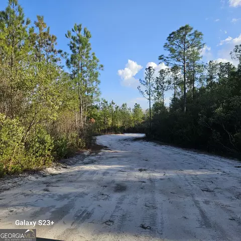 0 Mill Branch Club Road 1d, Pembroke, GA 31321