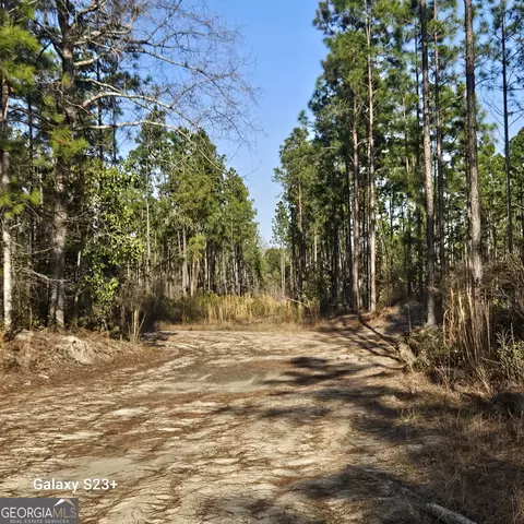 0 Mill Branch Club Road 1 K, Pembroke, GA 31321