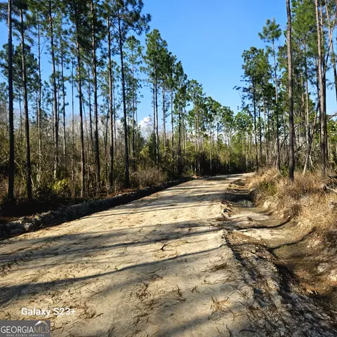 0 Mill Branch Club Rd 1l, Pembroke, GA 31321