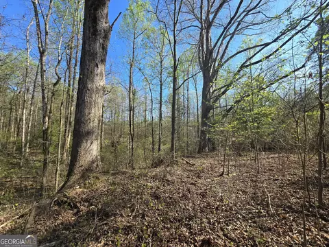 0 Willis Glenn Rd, Hull, GA 30646 photo 10