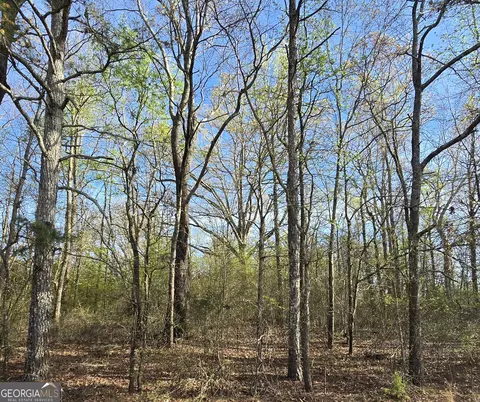 0 Willis Glenn Rd, Hull, GA 30646 photo 4
