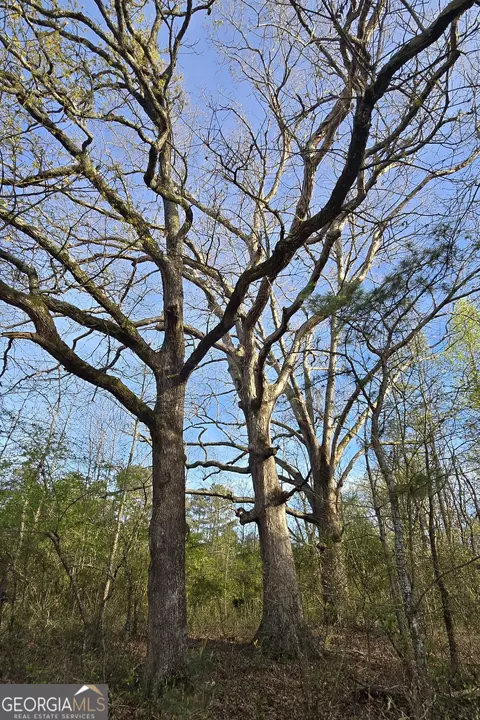 0 Willis Glenn Rd, Hull, GA 30646 photo 3
