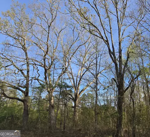 0 Willis Glenn Rd, Hull, GA 30646 photo 2