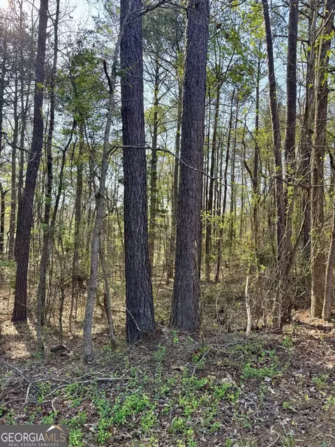 0 Leisure Cir, Pine Mountain, GA 31822