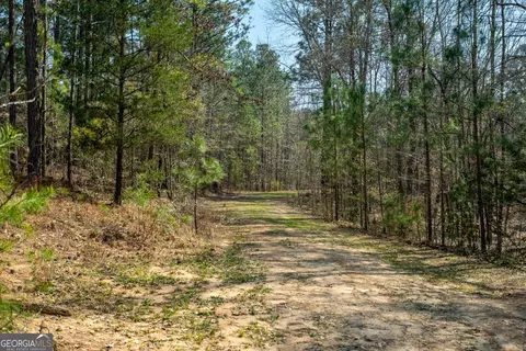 0 Lower Big Springs Rd, Lagrange, GA 30241 photo 19