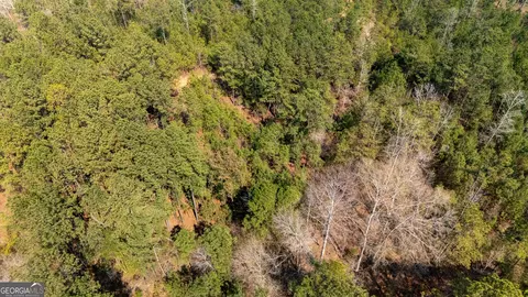 0 Lower Big Springs Rd, Lagrange, GA 30241 photo 14