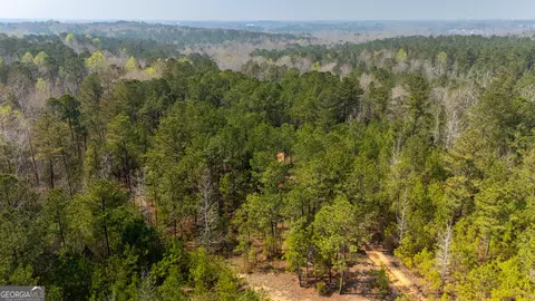 0 Lower Big Springs Rd, Lagrange, GA 30241 photo 17