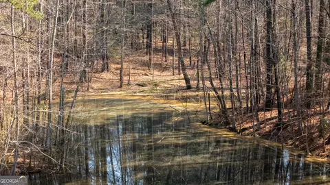 0 Lower Big Springs Rd, Lagrange, GA 30241 photo 12
