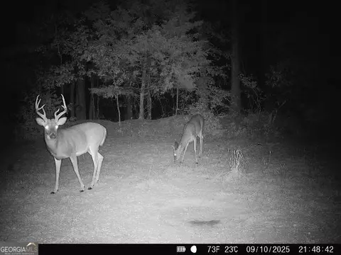 0 Lower Big Springs Rd, Lagrange, GA 30241 photo 32