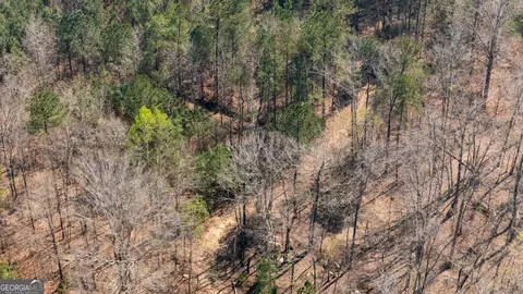 0 Lower Big Springs Rd, Lagrange, GA 30241 photo 4