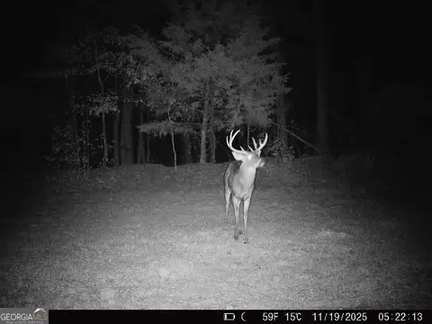 0 Lower Big Springs Rd, Lagrange, GA 30241 photo 31