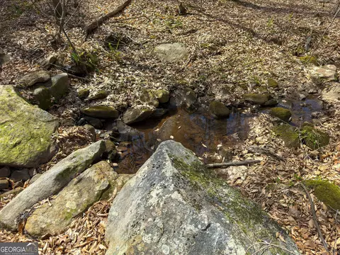 0 Lower Big Springs Rd, Lagrange, GA 30241 photo 40