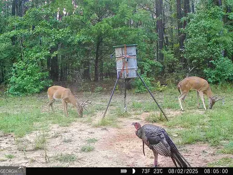 0 Lower Big Springs Rd, Lagrange, GA 30241 photo 37