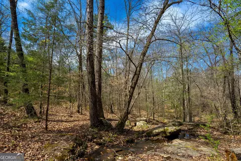 0 Lower Big Springs Rd, Lagrange, GA 30241 photo 42