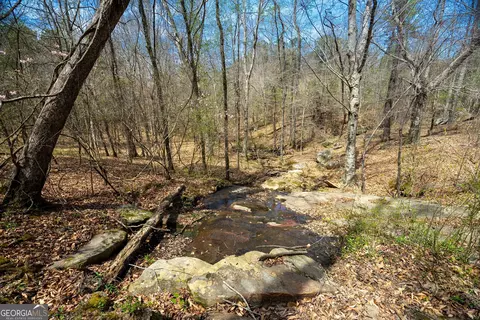 0 Lower Big Springs Rd, Lagrange, GA 30241 photo 43