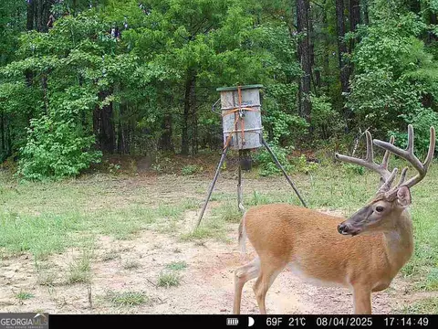 0 Lower Big Springs Rd, Lagrange, GA 30241 photo 38