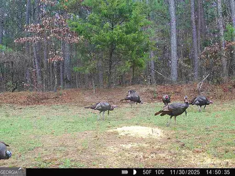 0 Lower Big Springs Rd, Lagrange, GA 30241 photo 35