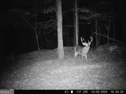 0 Lower Big Springs Rd, Lagrange, GA 30241 photo 30